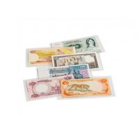 100x folie na bankovky + ochranné pouzdro