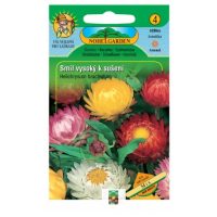 Smil listenatý vysoký - K sušení, směs