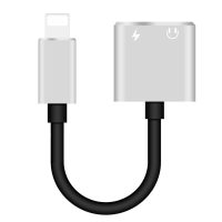 Redukce z lightning na 2x lightning - Stříbrná